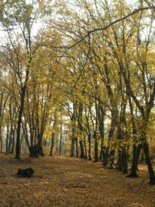 Sentiero delle Uccellande