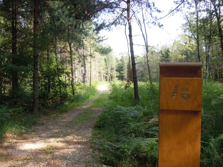 sentiero delle tracce