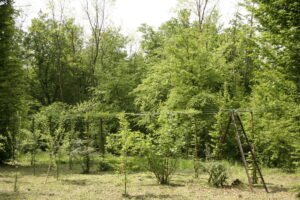 Sentiero delle Uccellande