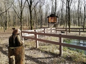 Sentiero delle Acque