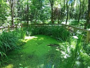 Sentiero delle Acque