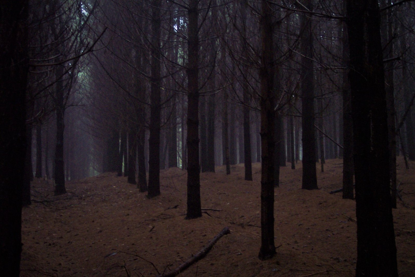 strobeto del Proverbio