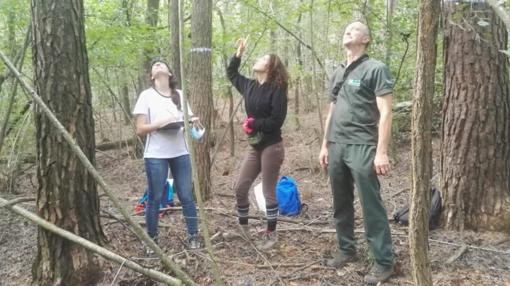 progetto cincia dal ciuffo