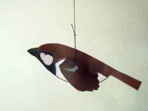 Uccellini da costruire: passero