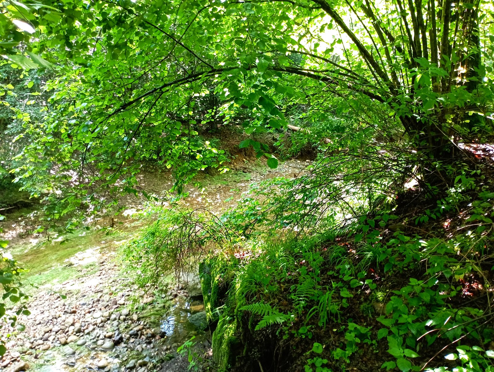 tratto a Venegono Inferiore