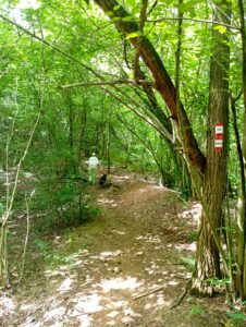 variante del sentiero 846