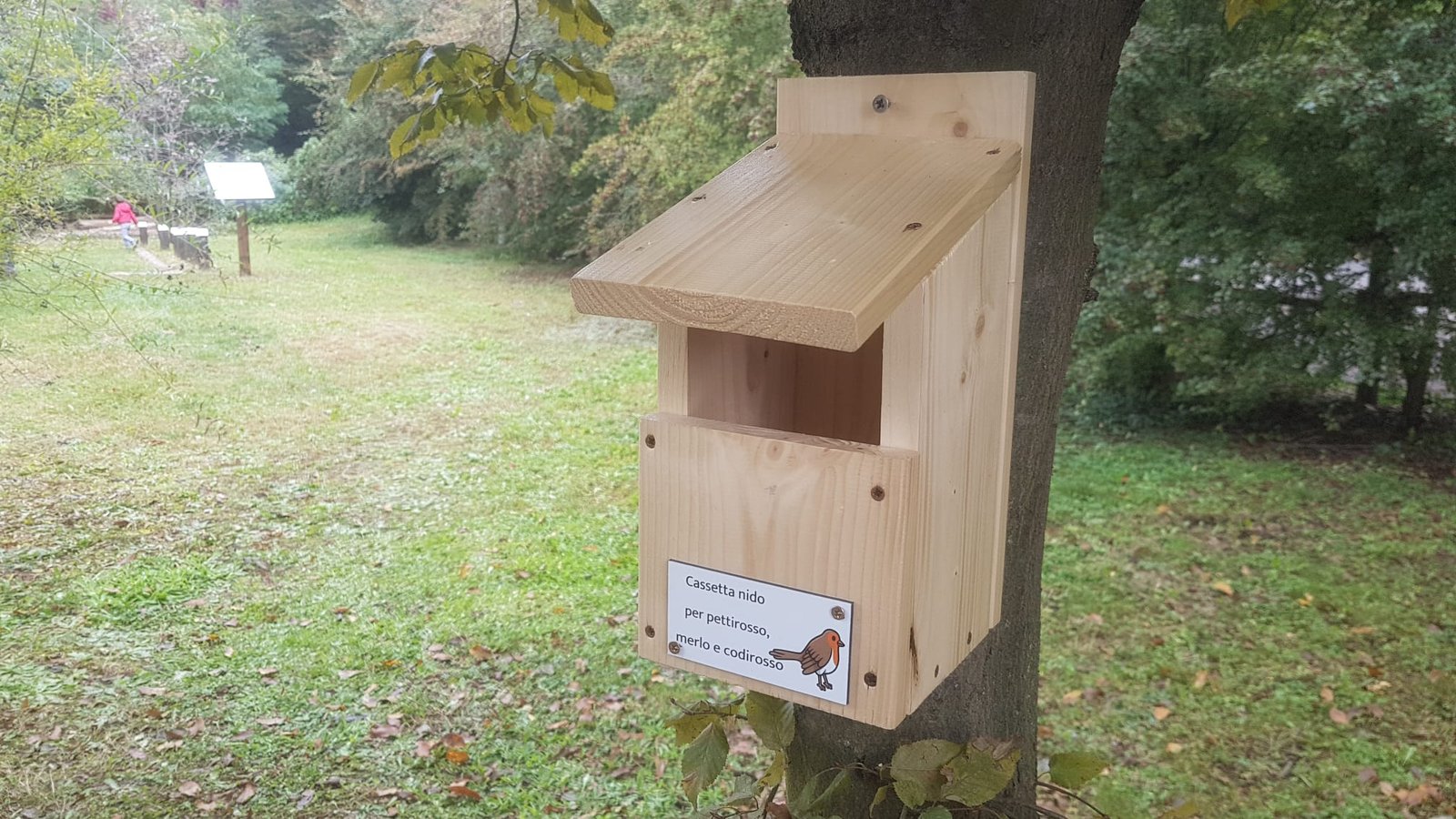 cassette nido per uccelli