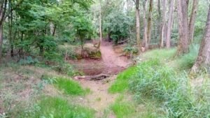 Anello di Rescaldina