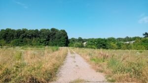 Anello di Rescaldina