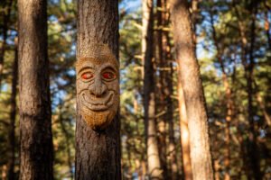 Sentiero della magia del bosco