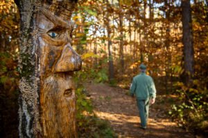 Sentiero della magia del bosco