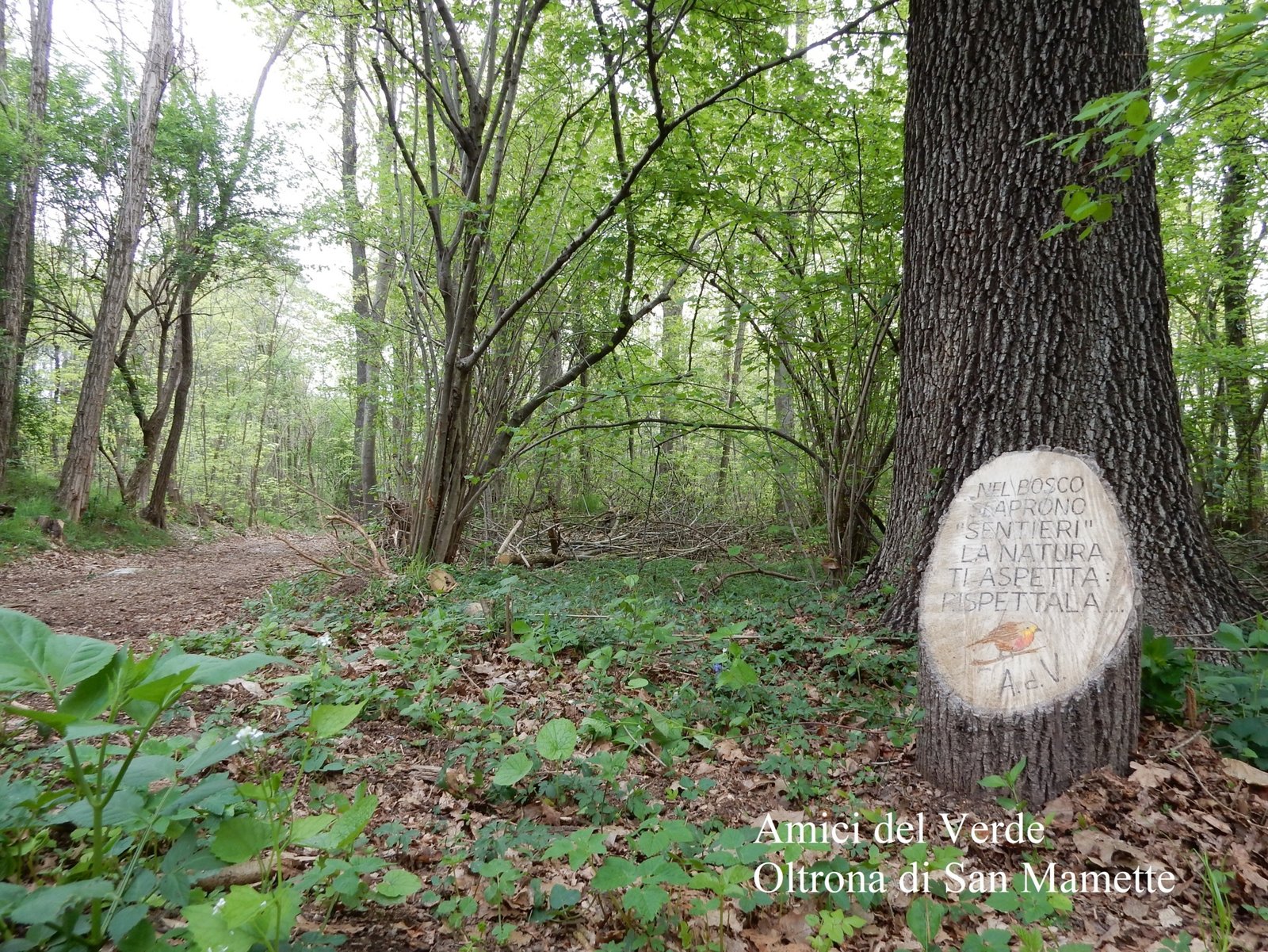 Il sentiero del Pecit