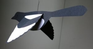 uccelli da costruire