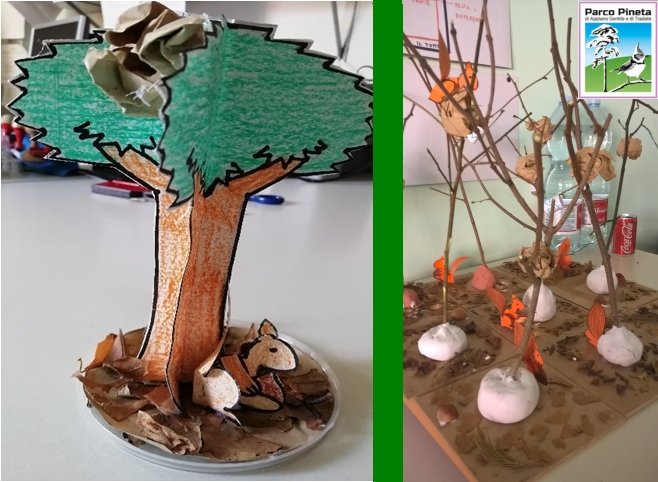 L'albero dello scoiattolo