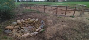 riqualificazione della zona umida a Gorla Minore