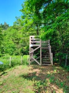 Area di sosta della Salamandra - Torretta