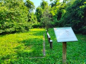 Area di sosta di Venegono Inferiore - Campioni di salto