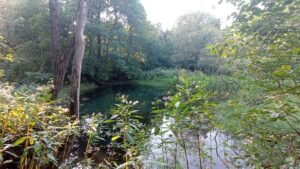 Località Buzzun: lo stagno