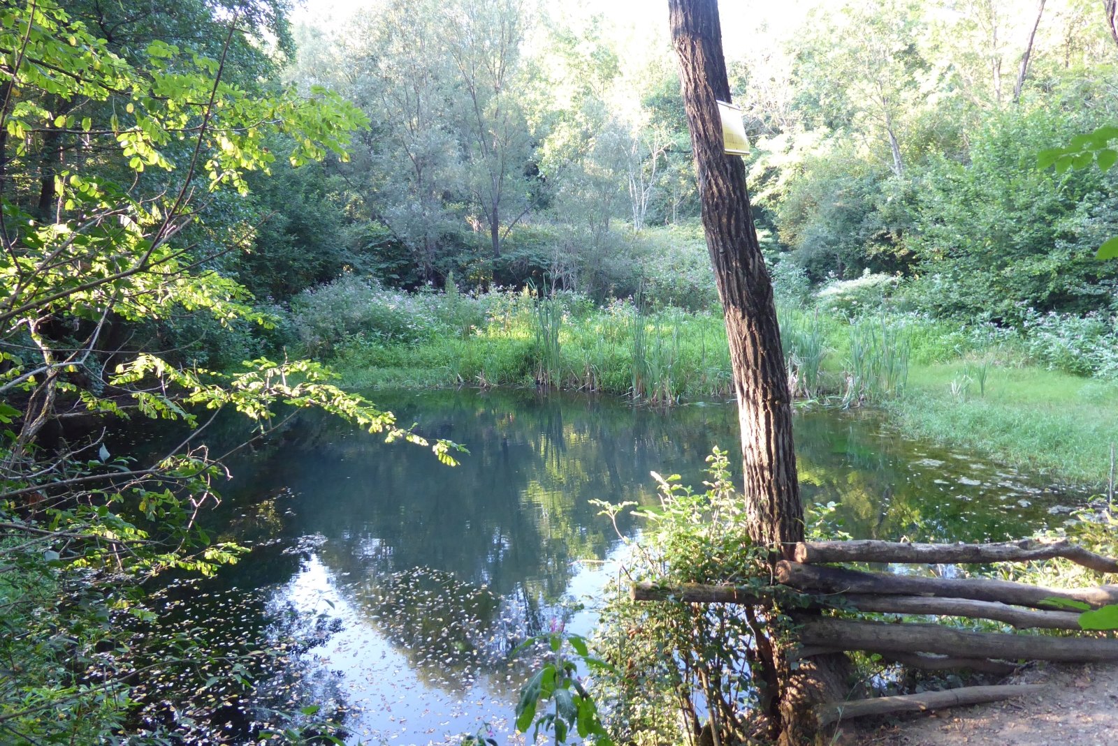 Località Buzzun : lo stagno