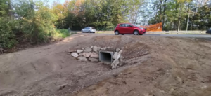 attraversamento rospi