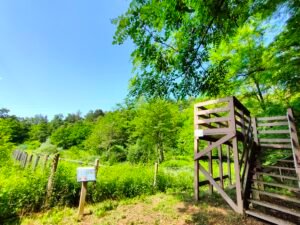 Fitodepuratore di Castelnuovo Bozzente - Torretta di osservazione