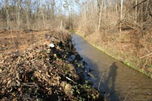 Il torrente Fontanile di Tradate