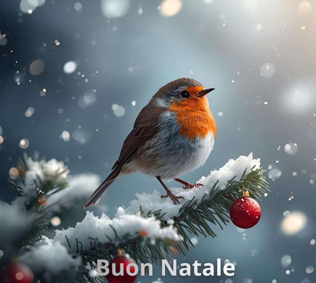 Buon Natale