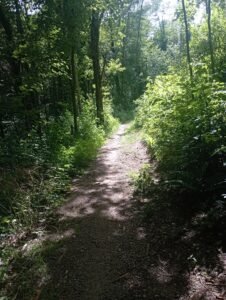 Gran fondo dei Longobardi