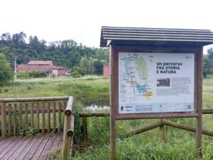 Area umida di Fagnano-Gorla