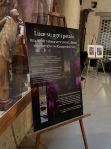 I venerdì del Parco